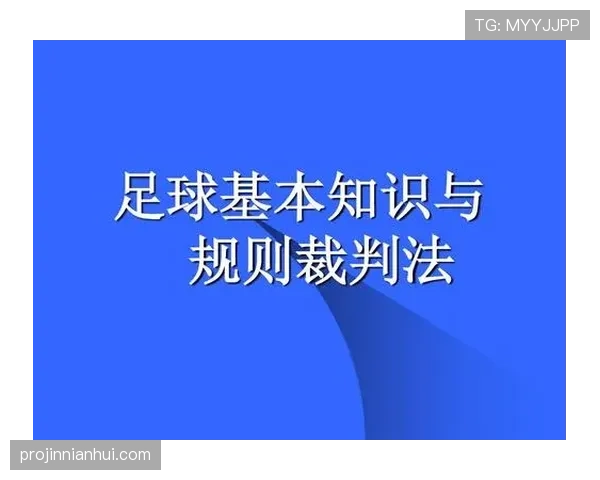 裁判职责详解:足球比赛中主要职责和判罚标准解析